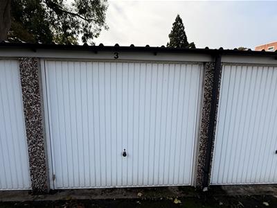Picture 6